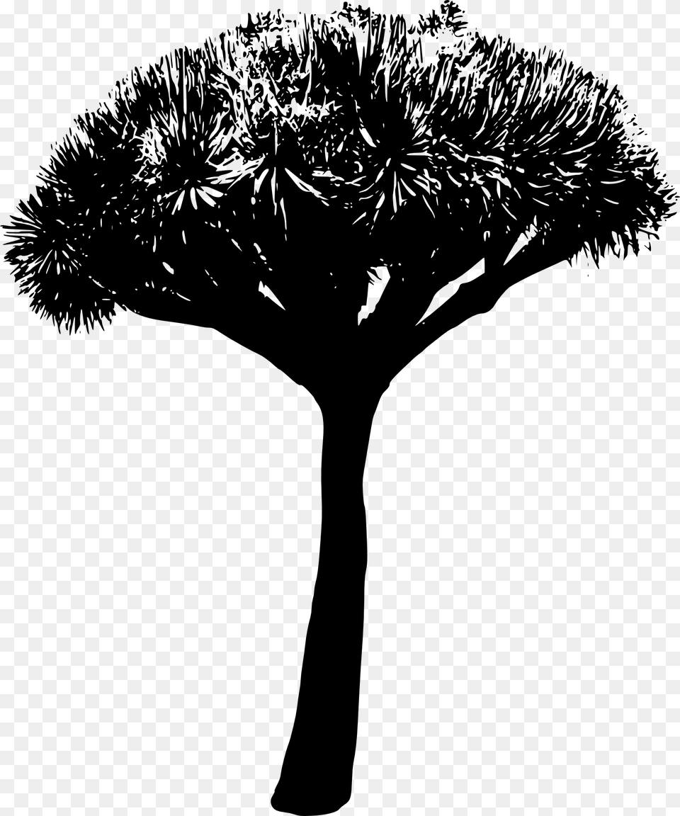 Tree Silhouette 2 Grass Background Black And White File, Palm Tree, Plant, Person, Art Png