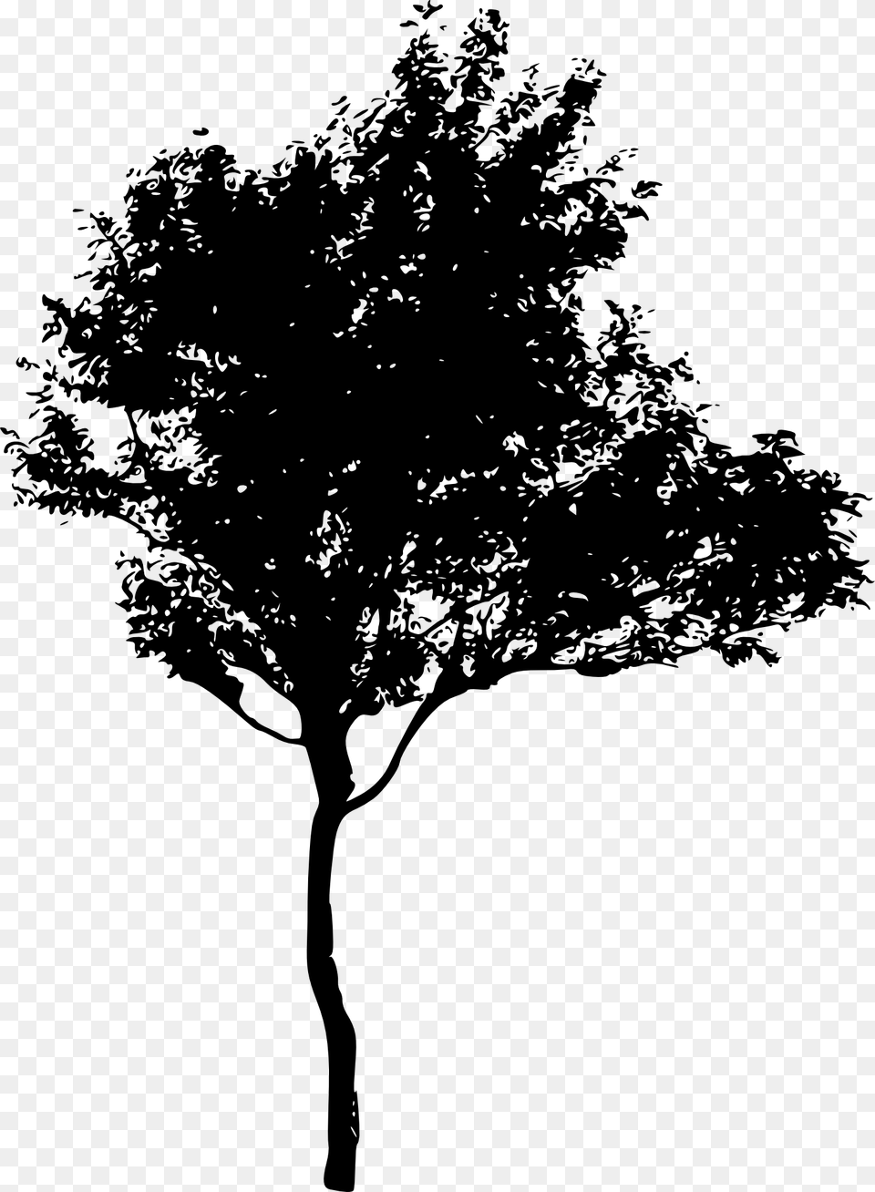 Tree Silhouette 2 Silhouette Of A Tree, Plant, Tree Trunk Free Png Download