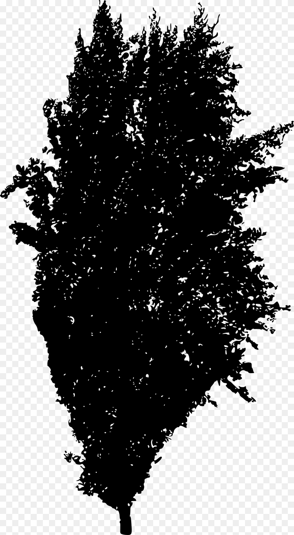Tree Silhouette 2 Woody Plant, Conifer Free Transparent Png