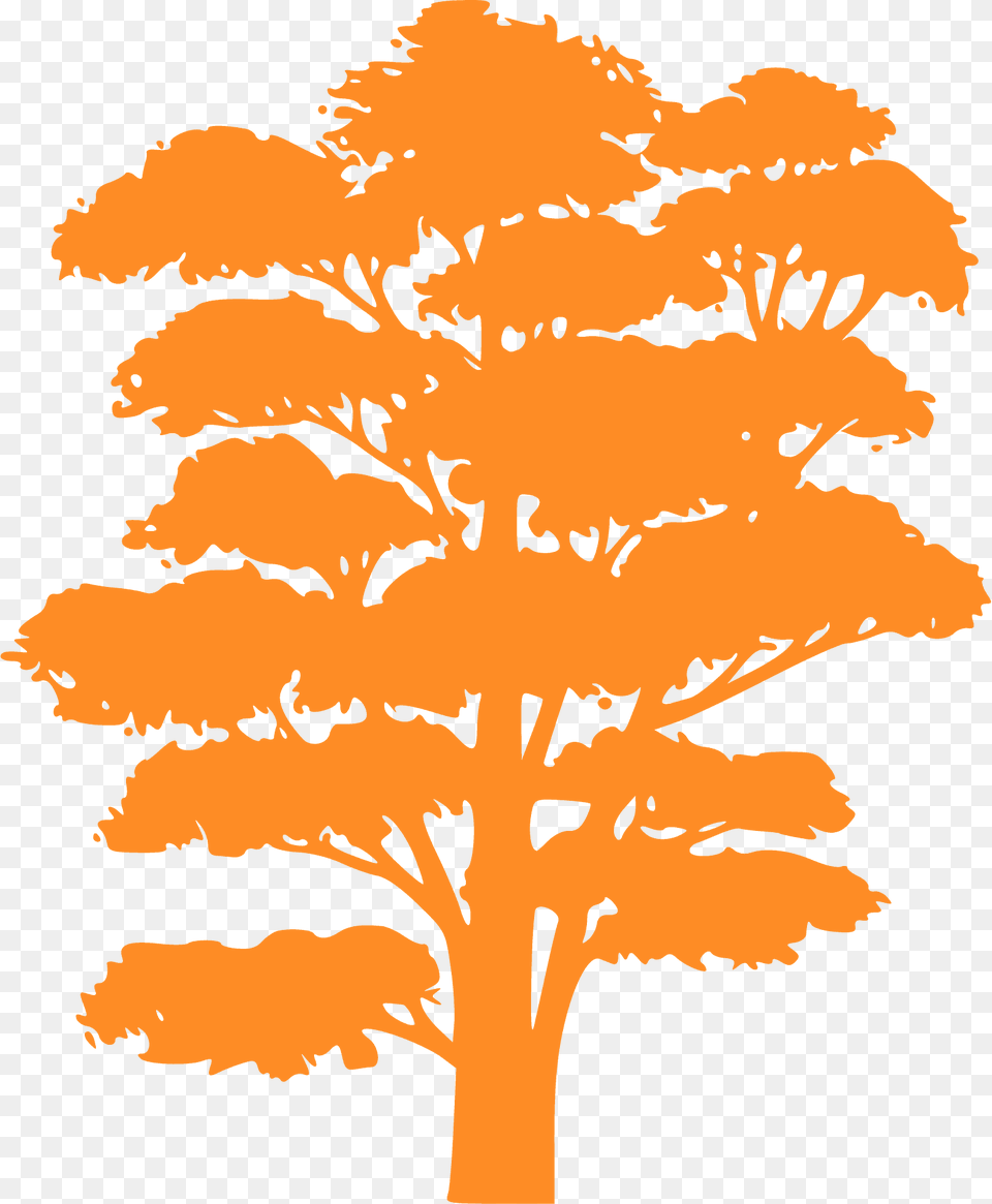 Tree Silhouette, Plant, Oak, Art Free Png Download