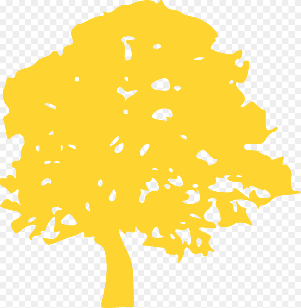 Tree Silhouette, Oak, Plant, Sycamore, Outdoors Free Png Download