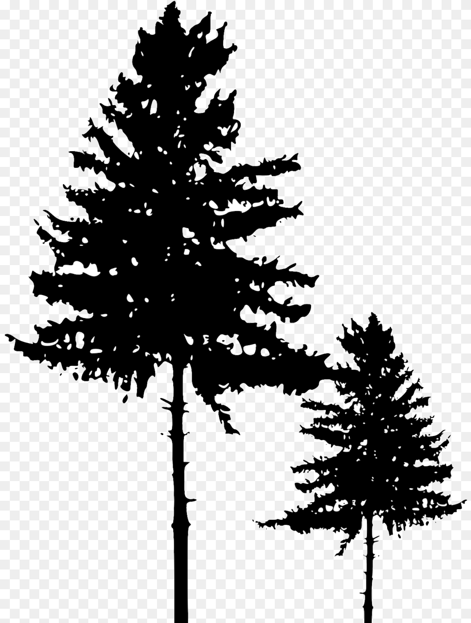 Tree Silhouette 3 Pine Tree Silhouette, Fir, Plant, Conifer, Blackboard Png Image