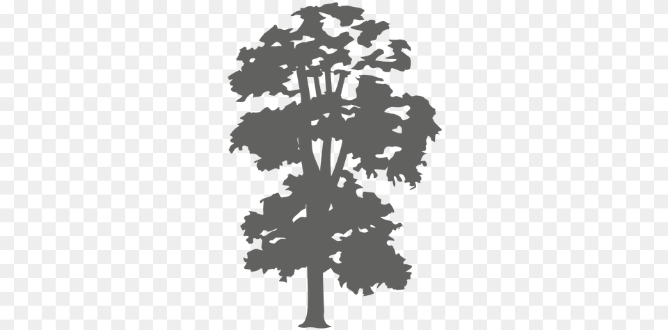 Tree Silhouette 3 Transparent U0026 Svg Vector File Swamp Maple, Plant, Stencil, Person, Face Free Png