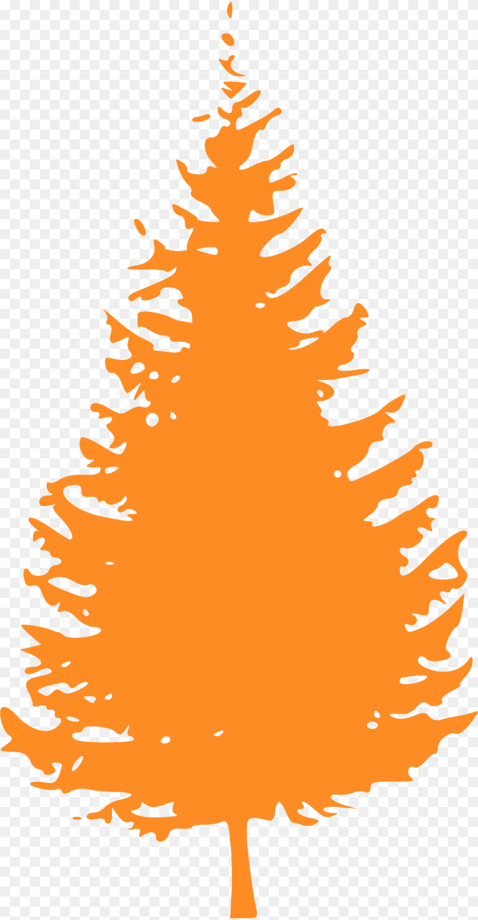 Tree Silhouette, Conifer, Plant, Fir, Person Free Transparent Png