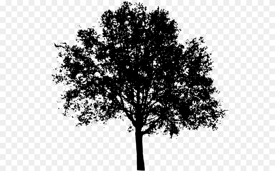 Tree Silhouette, Gray Png