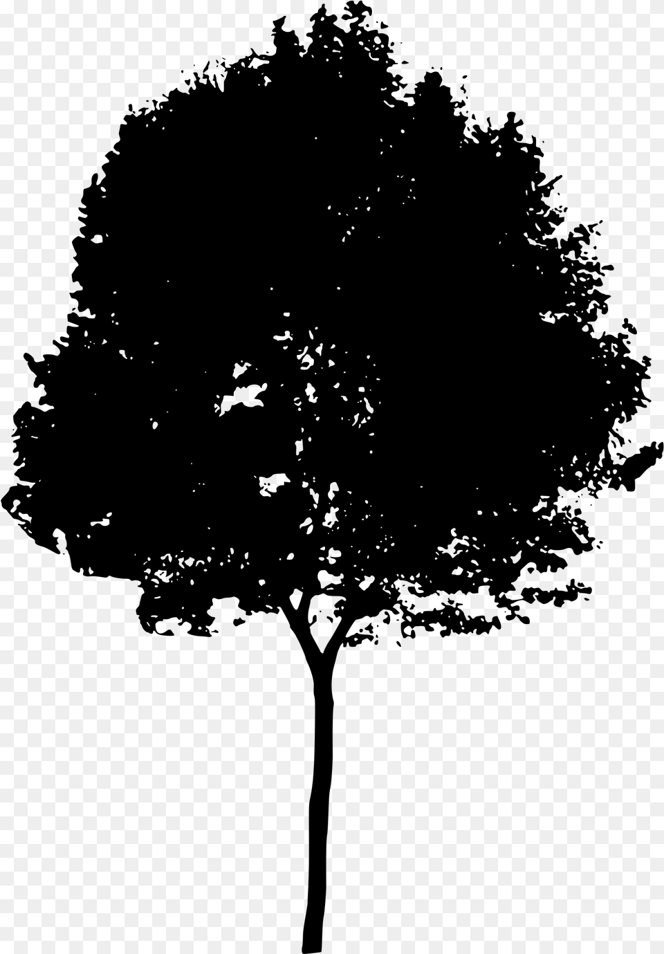 Tree Silhouette Architecture, Gray Png