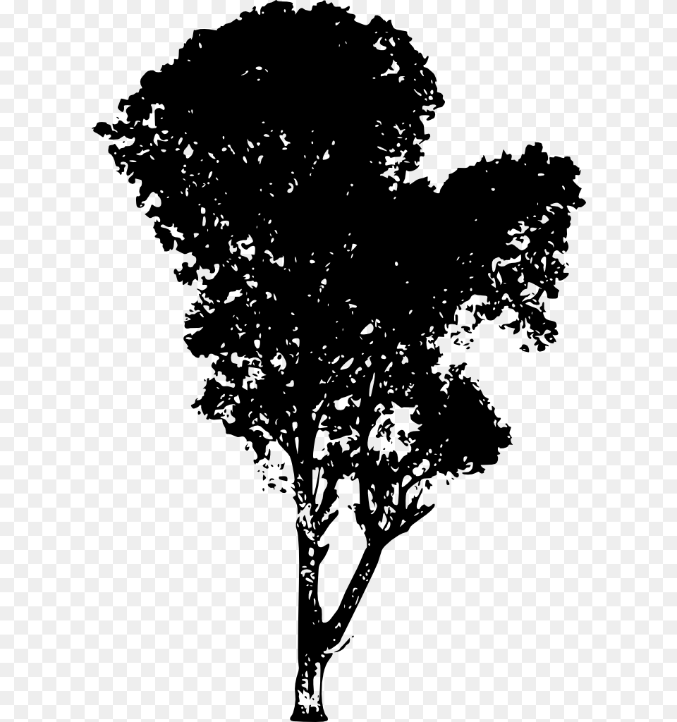 Tree Silhouette Background Silhouette Trees, Oak, Plant, Sycamore, Tree Trunk Free Png