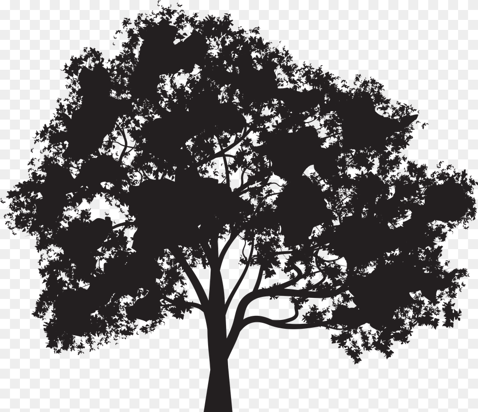 Tree Silhouette Clip Art, Plant, Drawing Free Png Download