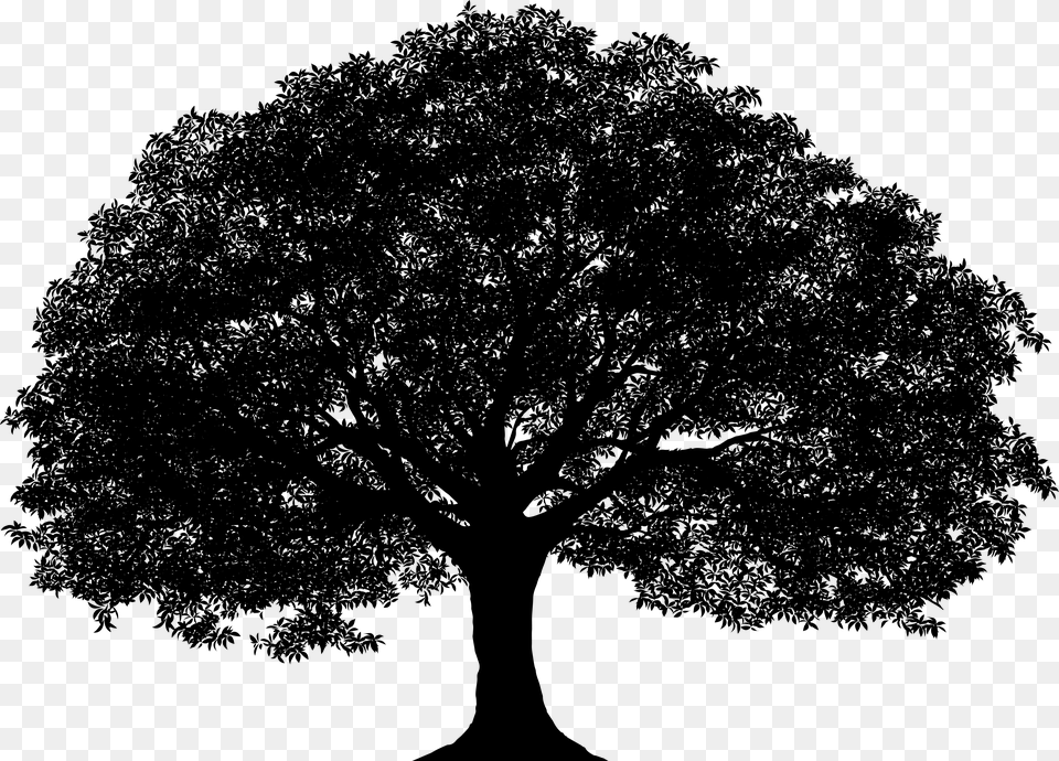 Tree Silhouette Clip Art Vector Oak Tree Silhouette, Gray Png Image