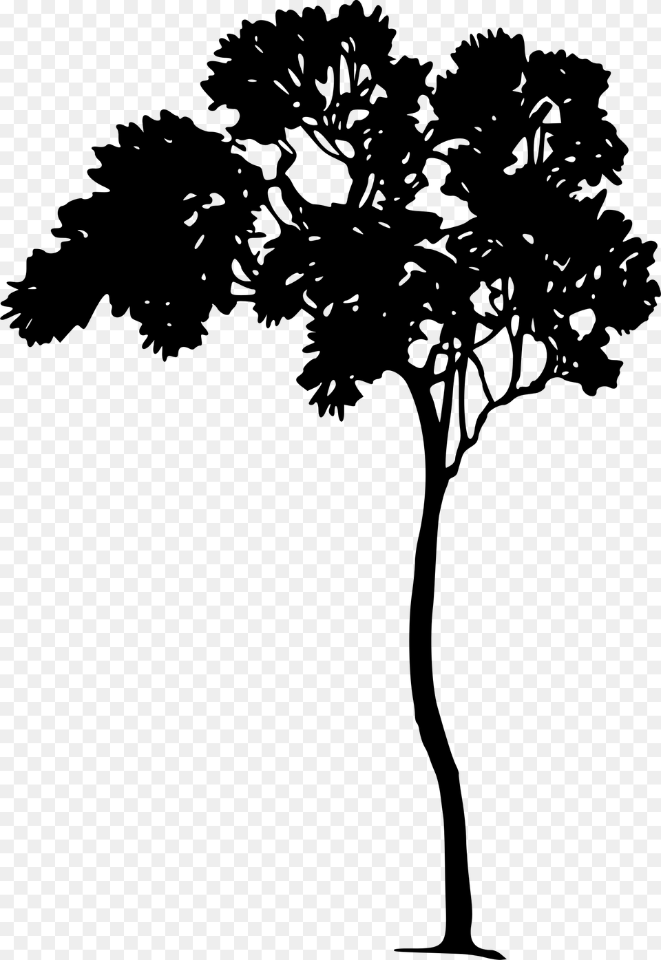 Tree Silhouette Clip Arts Arthur Rackham Silhouette, Gray Free Transparent Png