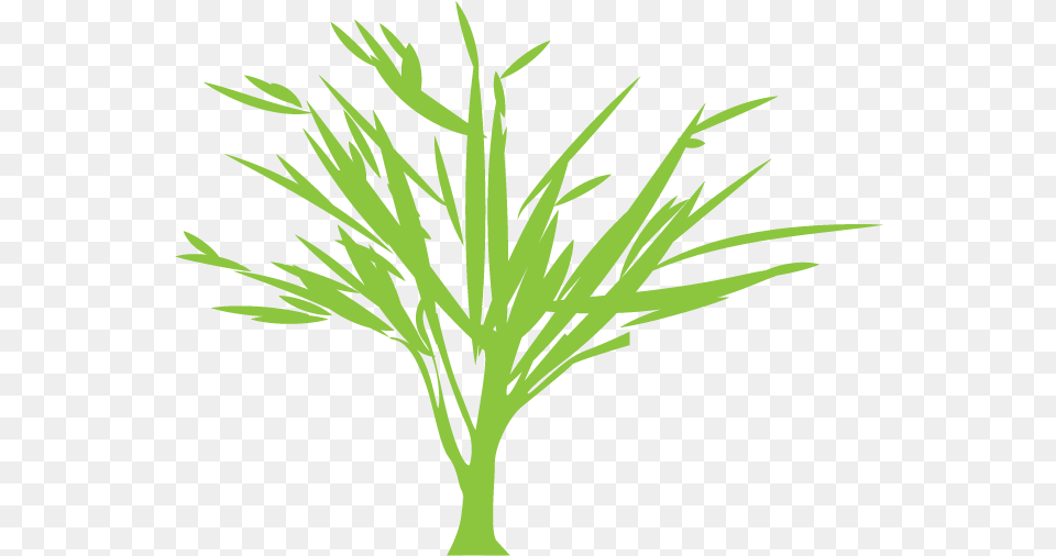 Tree Silhouette Euclidean Vector Green Vector Graphics, Food, Plant, Seasoning, Dill Png Image