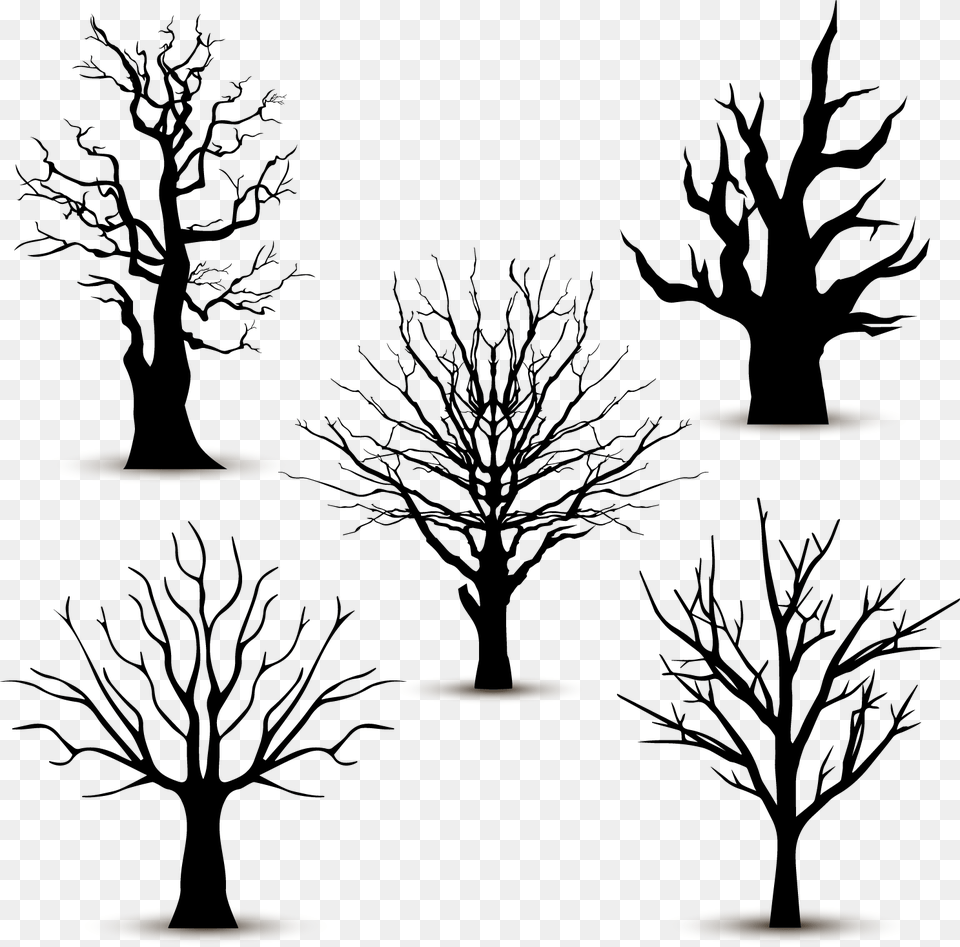 Tree Silhouette Euclidean Vector Leafless Tree Vector, Lighting Free Png Download