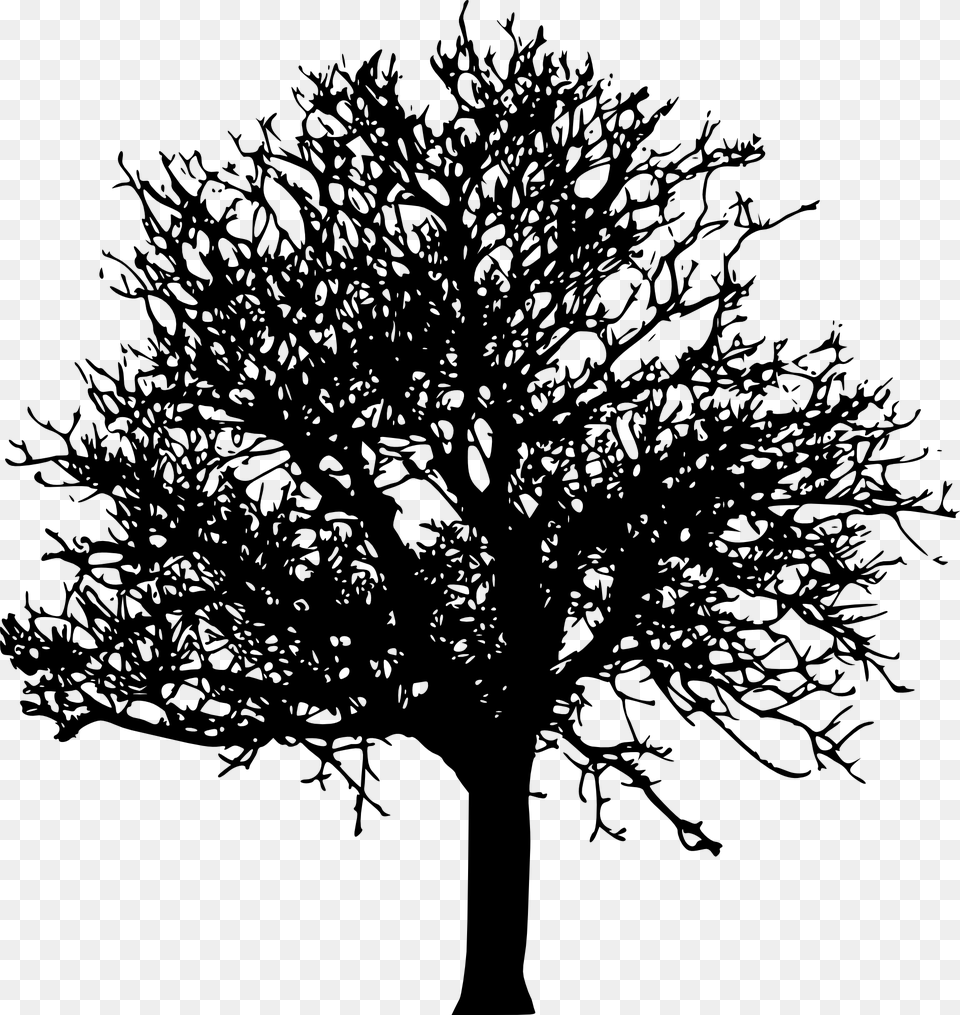 Tree Silhouette No Background, Oak, Plant, Tree Trunk, Person Png