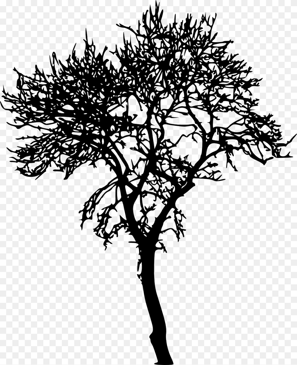 Tree Silhouette No Background, Plant, Art, Drawing Png Image