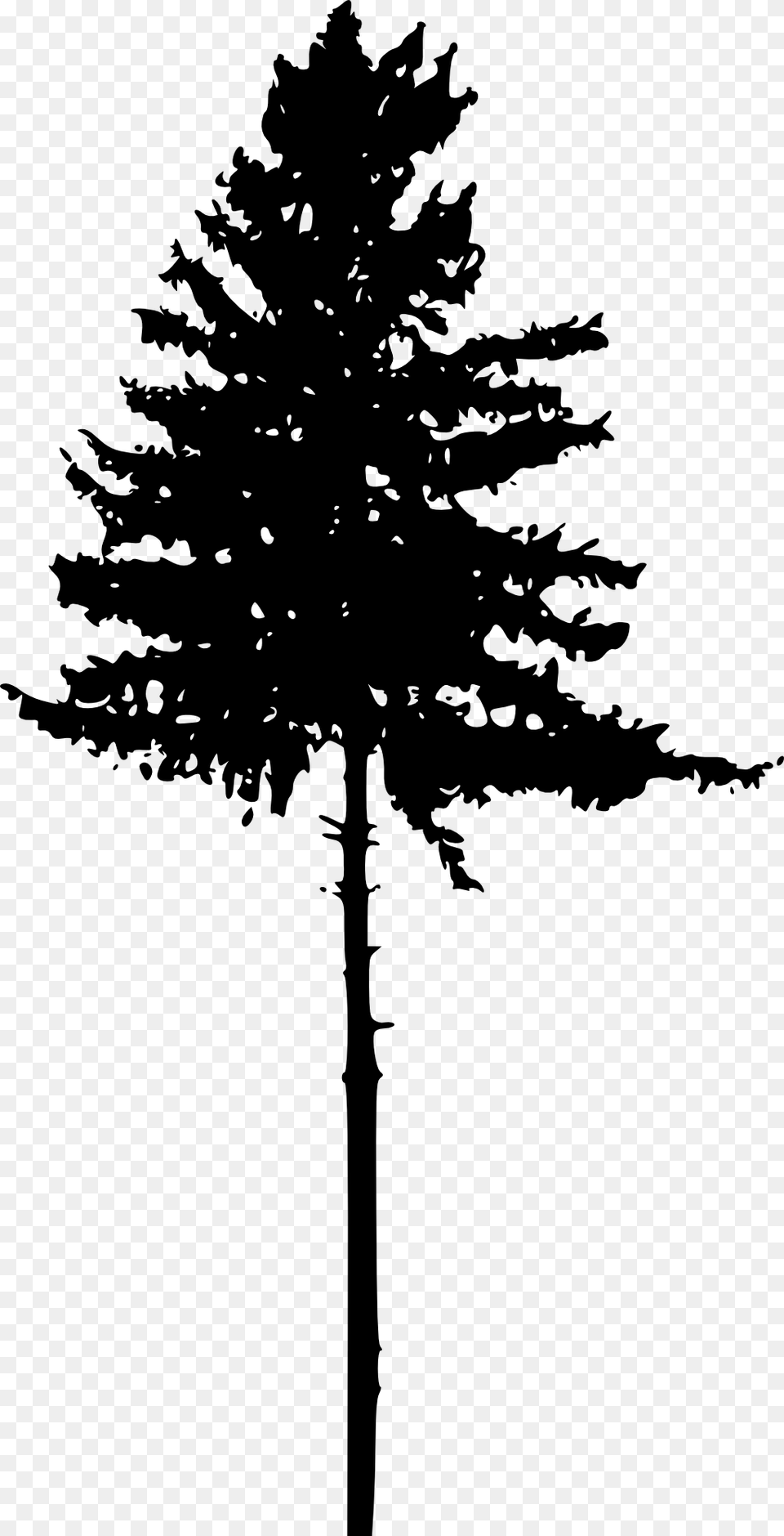 Tree Silhouette No Background, Fir, Pine, Plant, Cross Png Image