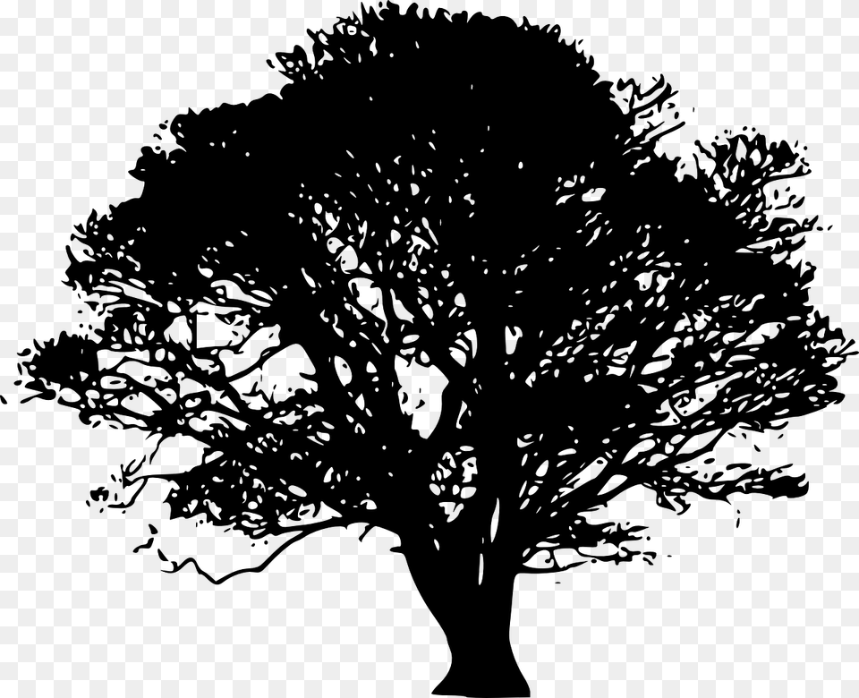 Tree Silhouette Oak Clip Art Oak Tree Silhouette, Gray Free Png
