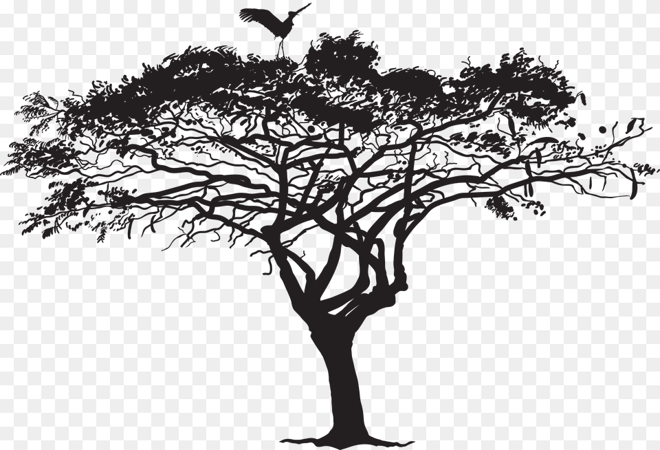 Tree Silhouette Photography Tree With Bird Silhouette, Art, Drawing, Animal, Plant Png