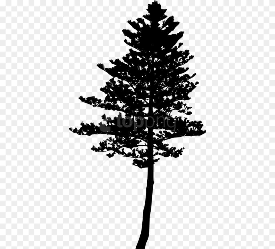 Tree Silhouette Pine Tree Silhouette, Fir, Plant, Cross, Symbol Png Image