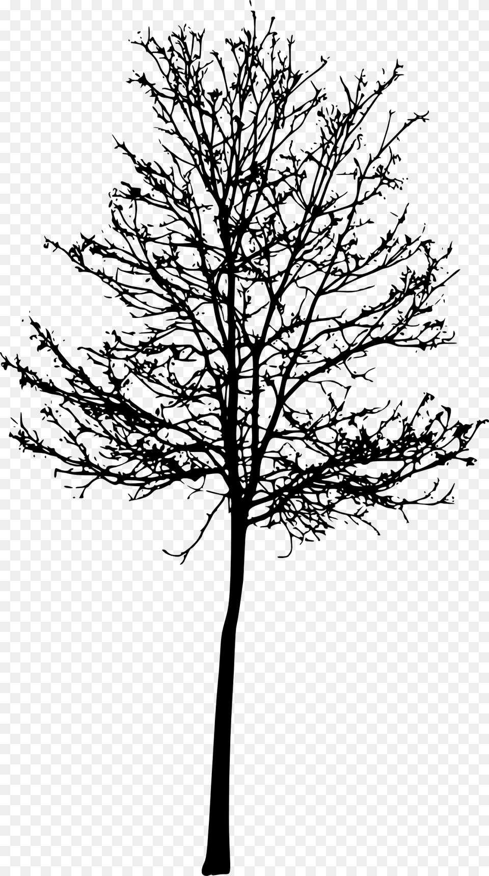 Tree Silhouette Roots Tree With Roots Silhouettes, Plant, Tree Trunk, Art, Drawing Png