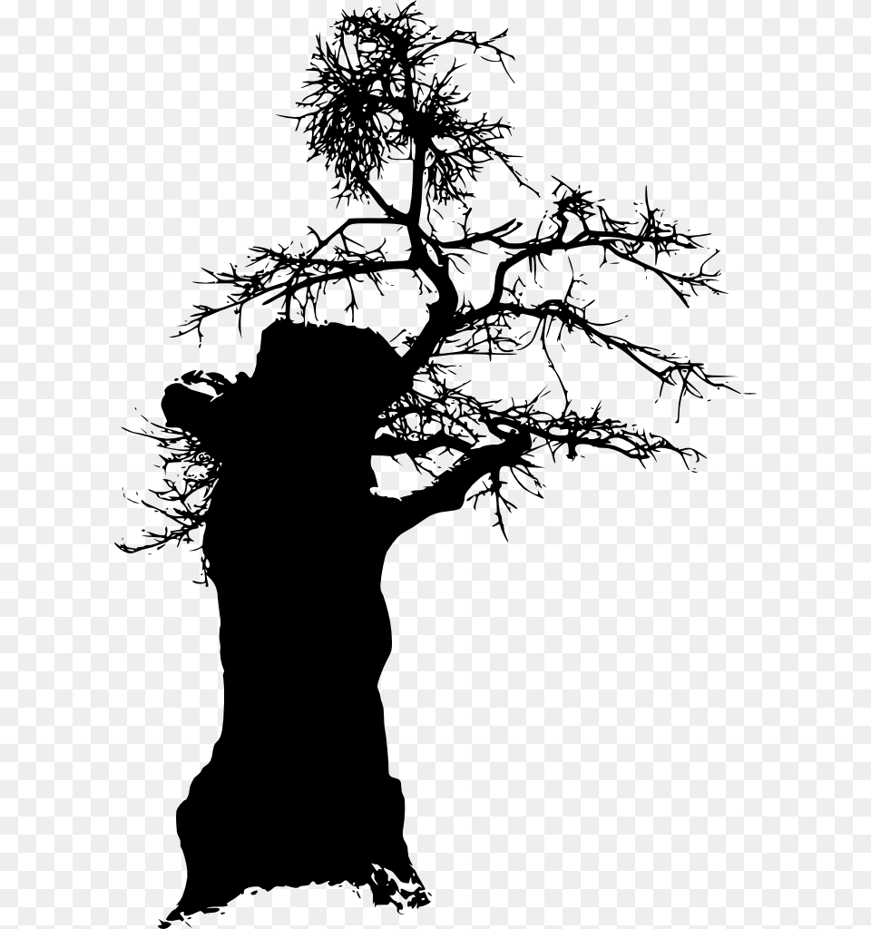 Tree Silhouette Silhouette, Plant, Person Free Transparent Png