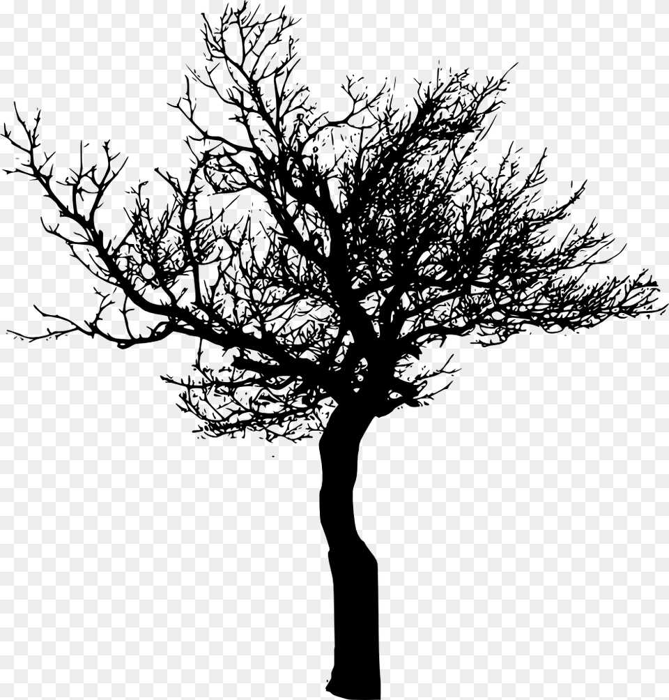 Tree Silhouette Transparent Background, Plant, Tree Trunk Free Png