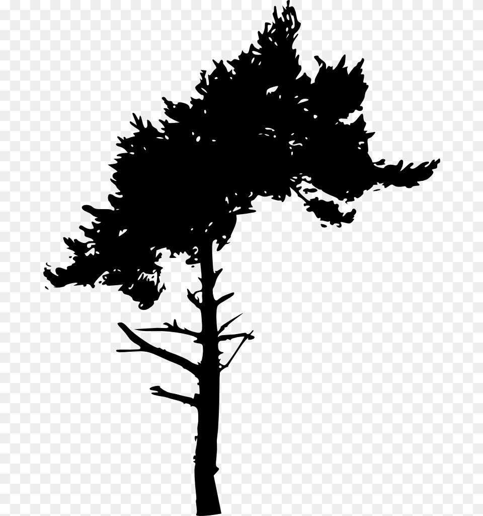Tree Silhouette Tree Silhouette Cut Out, Plant, Stencil, Cross, Symbol Free Png Download