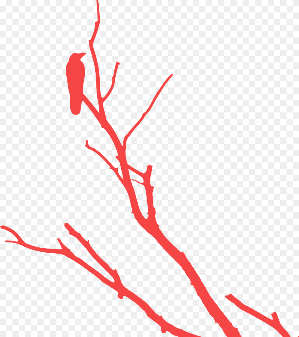 Tree Silhouette Vector, Animal, Bird, Finch, Leaf Free Transparent Png