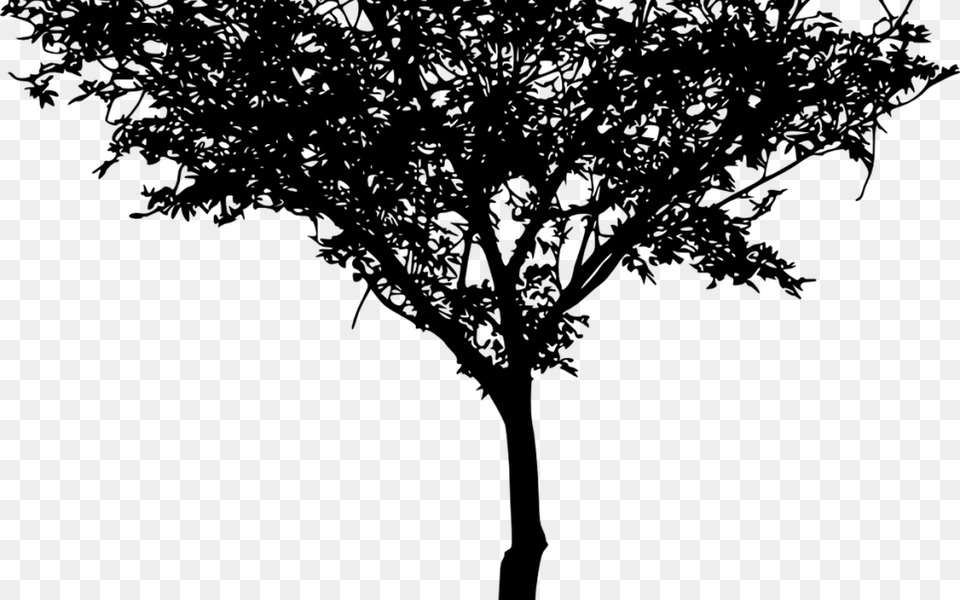 Tree Silhouette Vol 3 Onlygfxcom Portable Network Graphics, Green, Plant, Tree Trunk, Oak Free Transparent Png