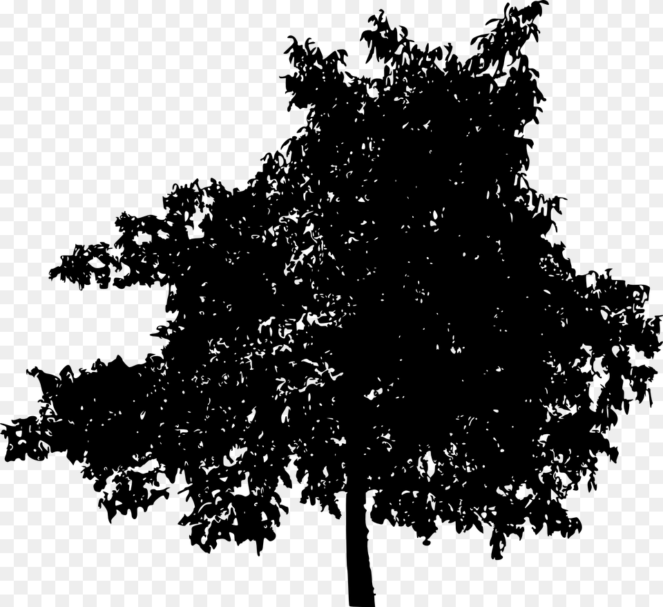 Tree Silhouettes Background Deciduous Tree Silhouette, Oak, Plant, Tree Trunk, Sycamore Free Transparent Png