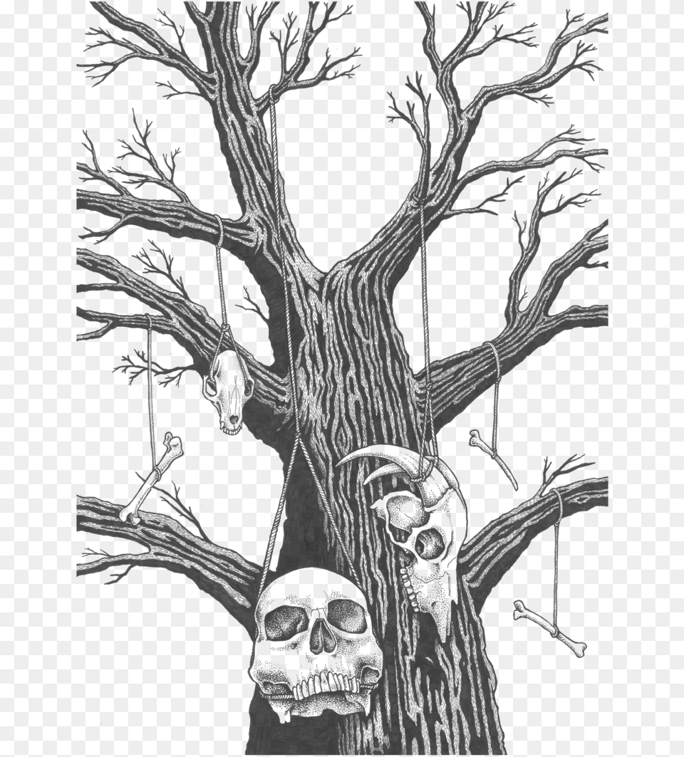 Tree Sketch 4png Bones Hanging From A Tree, Gray Png