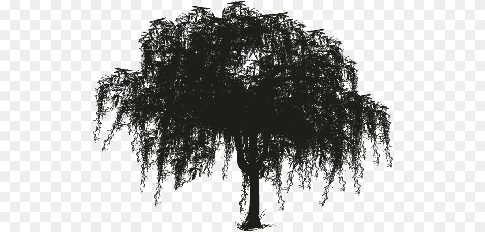 Tree Spanish Moss Woody Plant Silhouette Spanish Moss Tree Silhouette, Electronics, Hardware, Person, Vegetation Free Transparent Png