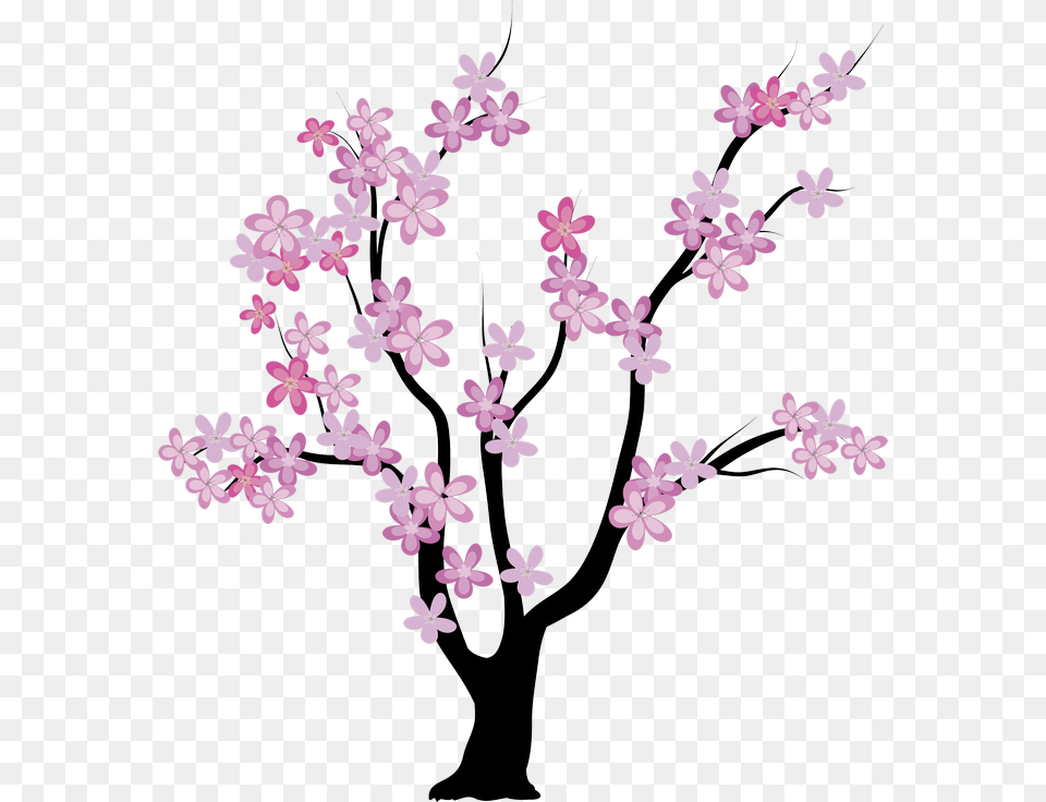 Tree Spring Album, Flower, Plant, Cherry Blossom, Flower Arrangement Free Transparent Png