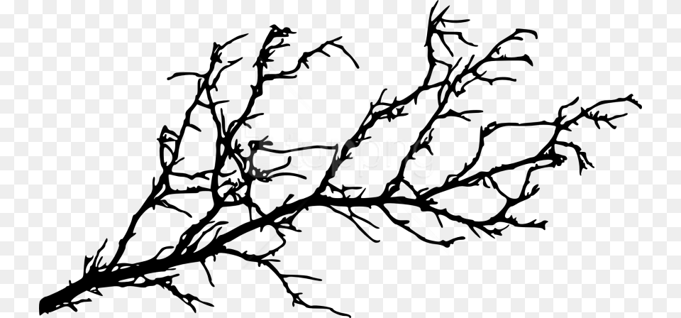 Tree Stem Tree Branch Silhouette, Art, Baby, Person, Drawing Free Transparent Png