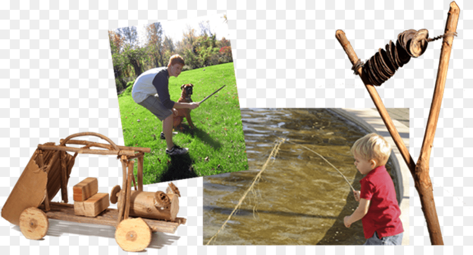Tree Stick, Wood, Water, Outdoors, Leisure Activities Png Image