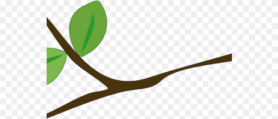 Tree Stick Tree Branch Clipart, Plant, Leaf, Flower, Blade Png Image