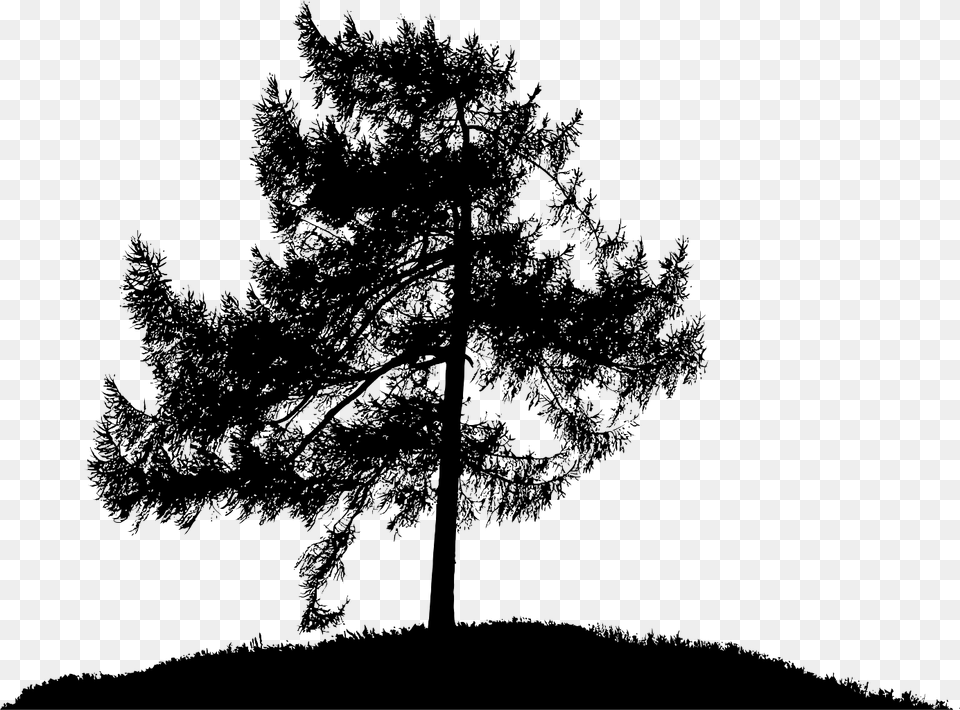 Tree Sticker Pine Trees Silhouettes, Gray Free Png
