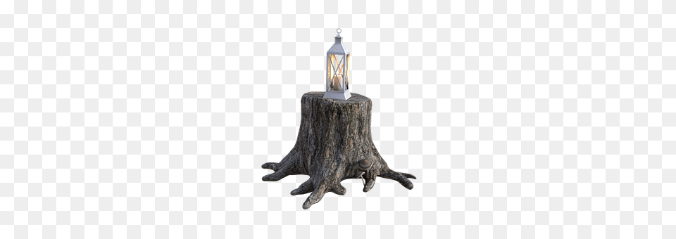 Tree Stump Plant, Lamp, Tree Stump, Animal Free Transparent Png