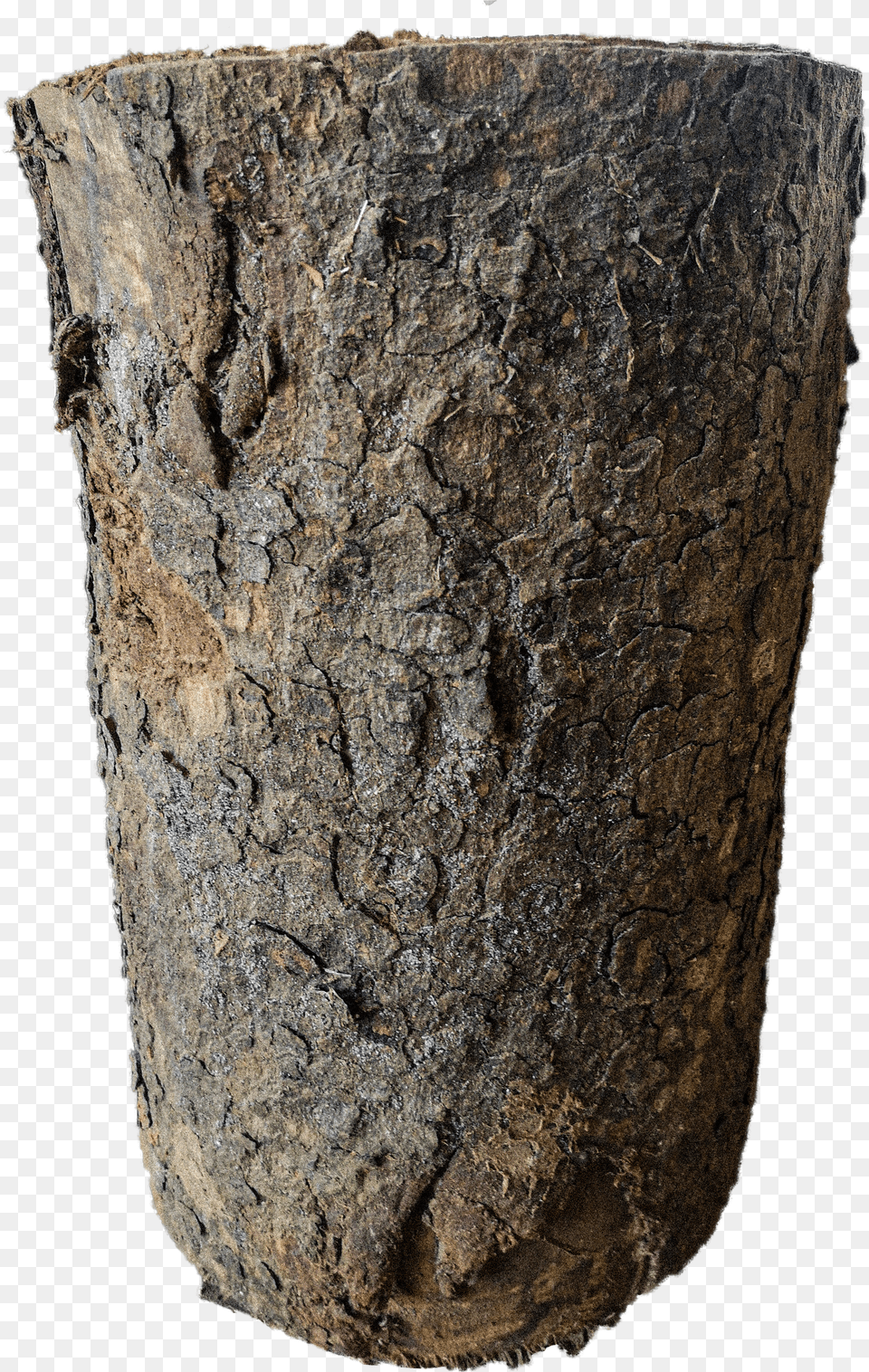 Tree Stump African Mahogany U2013 Wood Yard Free Transparent Png