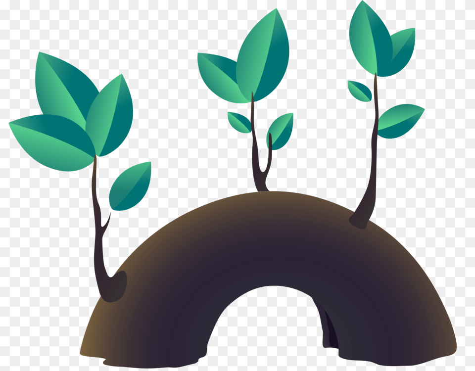 Tree Stump Branch Leaf Root, Plant, Potted Plant, Outdoors Free Png Download