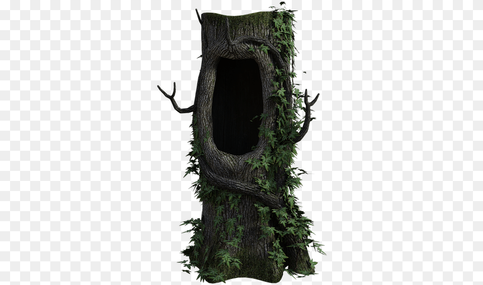 Tree Stump Hollow On Pixabay Arbol Con Hueco, Plant, Tree Trunk, Moss, Hole Free Png