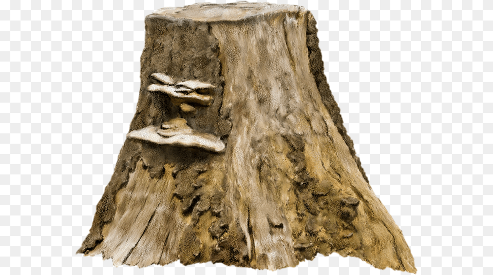 Tree Stump Photography Clip Art Old Tree Stump Transparent Tree Stump, Plant, Tree Stump Free Png