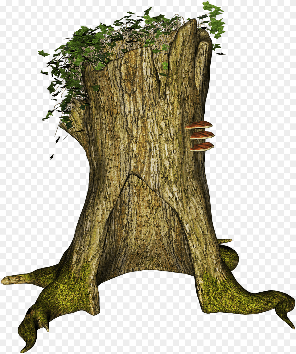 Tree Stump Rhizome Stubben Troncos De Arbol, Plant, Tree Trunk, Tree Stump Free Transparent Png
