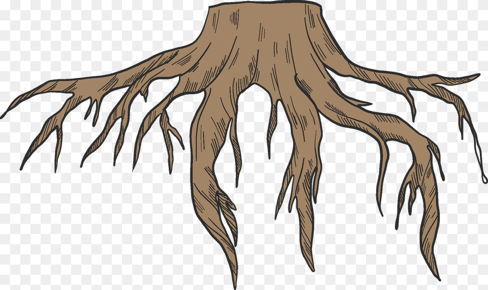 Tree Stump With Roots Clipart, Plant, Root, Animal, Fish Free Transparent Png