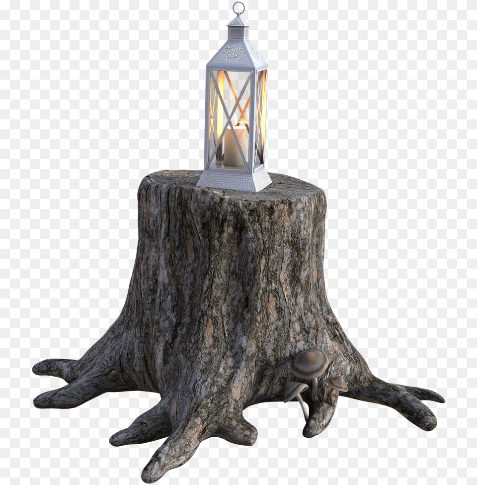 Tree Stump Wood Windlight Gartendeko Baumstumpf Deko, Lamp, Plant, Fungus, Tree Stump Png Image