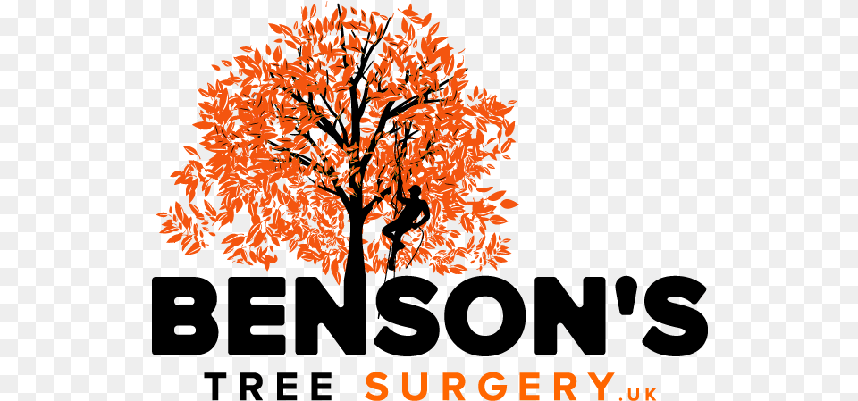 Tree Surgery Ltd U2013 Arborist And Surgeon Tree Surgery Logo, Plant, Maple, Vegetation, Leaf Png Image