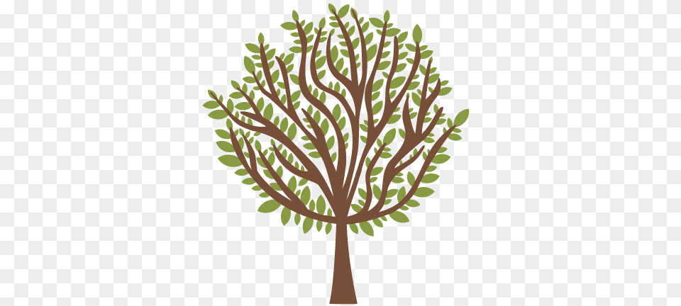 Tree Svg Scrapbook Cuts Tree Svg Cut File Tree Svg Library, Plant, Leaf, Tree Trunk, Herbal Free Png