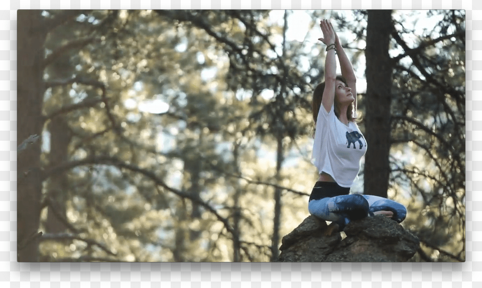 Tree Swing, Person, Head, Face, Fitness Png