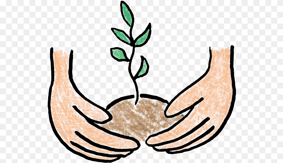 Tree That Flourish Growing Clipart Plant Trees Clip Art, Leaf, Herbal, Herbs, Astragalus Png