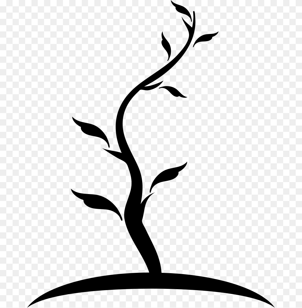 Tree Thin Shape Of Young Trunk With Few Leaves Arbol Dibujo Y Tronco, Stencil, Silhouette, Pattern, Graphics Png