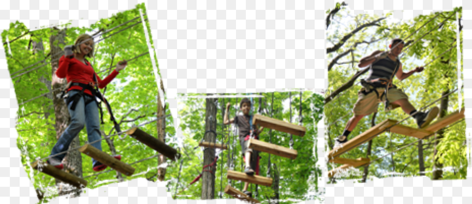 Tree Top Adventure Ropes Course In Sevierville Tn Tree, Vegetation, Plant, Outdoors, Boy Free Png
